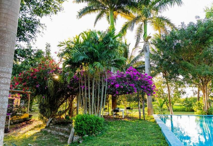 Otel Posada Barahona