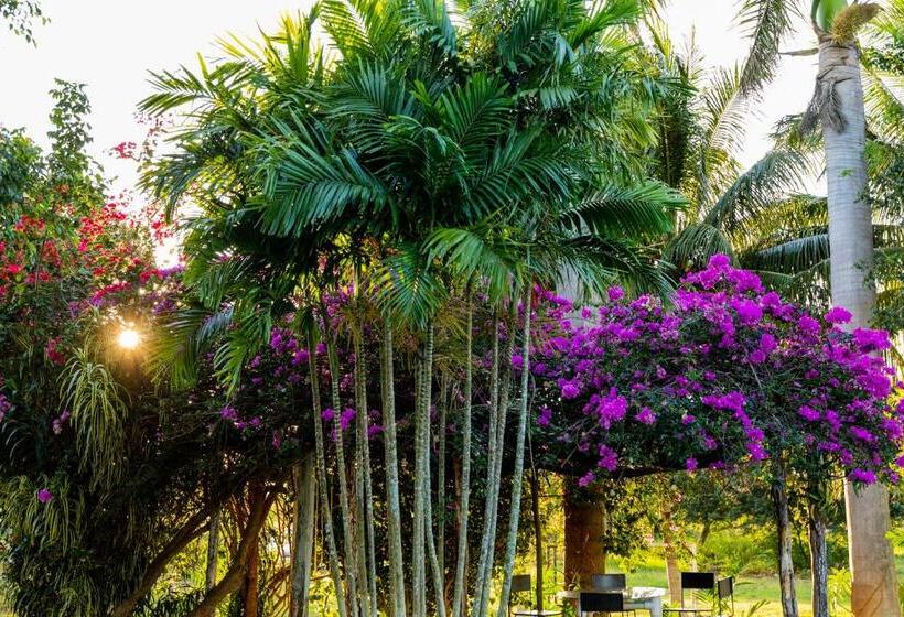 Otel Posada Barahona