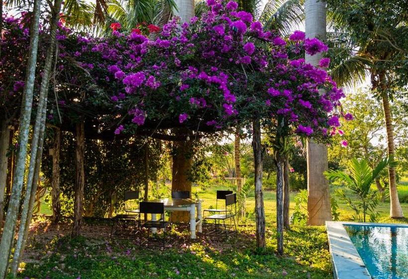 Otel Posada Barahona