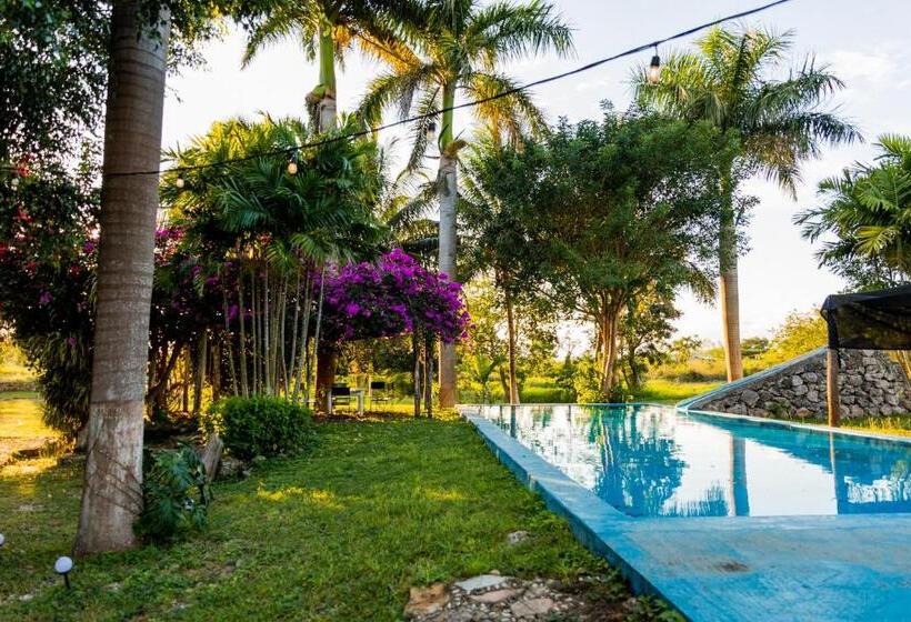 Otel Posada Barahona