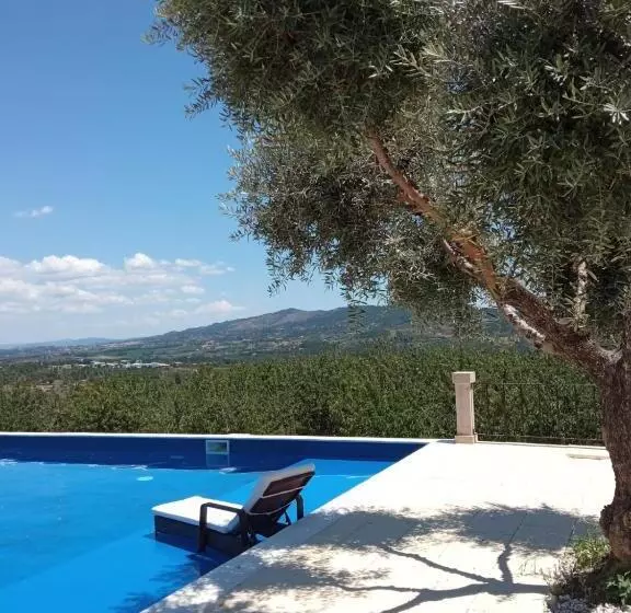 Hotelli Tranca Da Barriga   Casa Do Vinho By Quinta De São Tiago