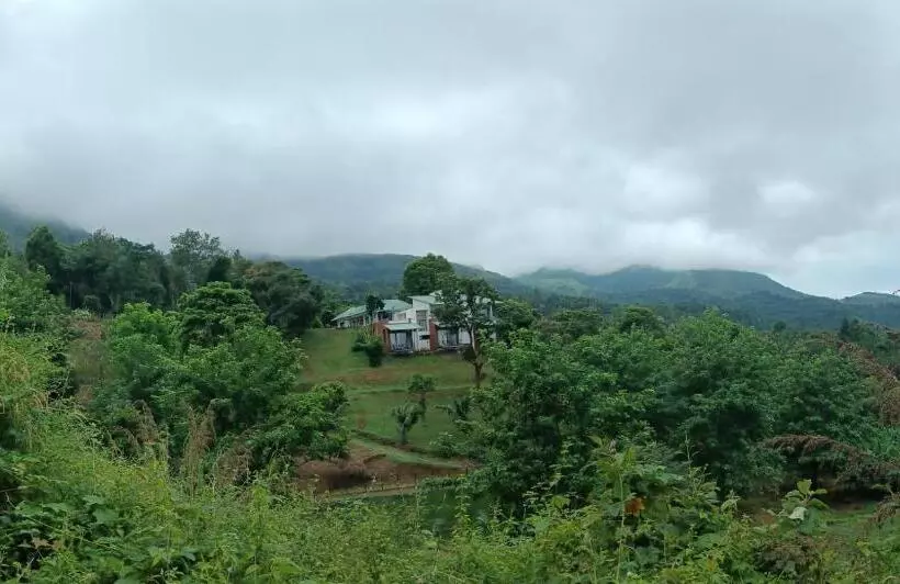 ホテル Wayanad Adventures Eco Farm Resort
