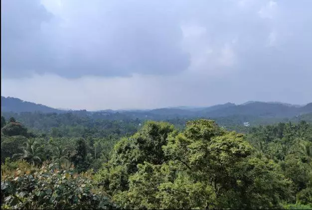 ホテル Wayanad Adventures Eco Farm Resort