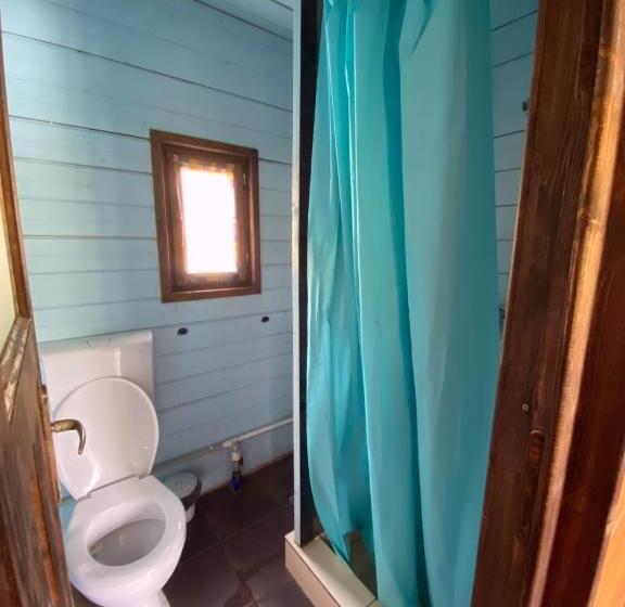 פנסיון Complex Lacul Micesti