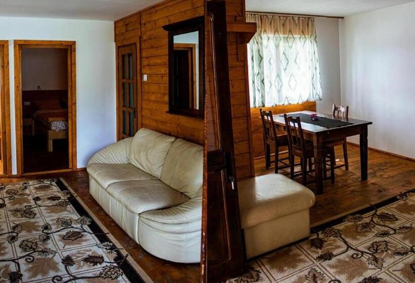 פנסיון Complex Lacul Micesti