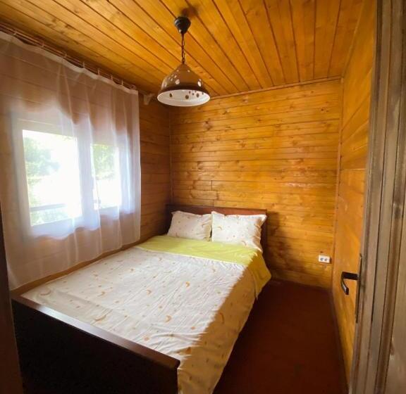 פנסיון Complex Lacul Micesti