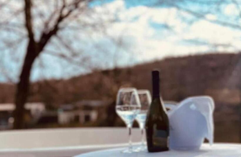 פנסיון Complex Lacul Micesti