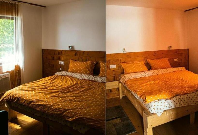 פנסיון Complex Lacul Micesti