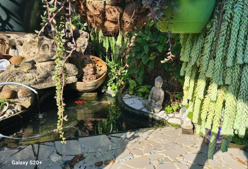 Pension Sandy Toes Airbnb