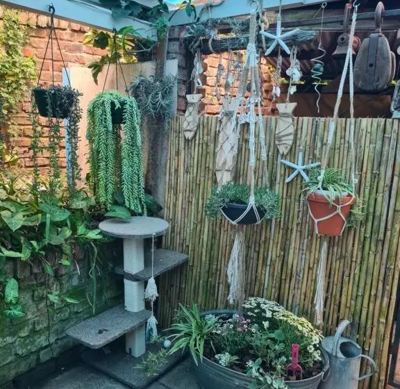 ペンション Sandy Toes Airbnb