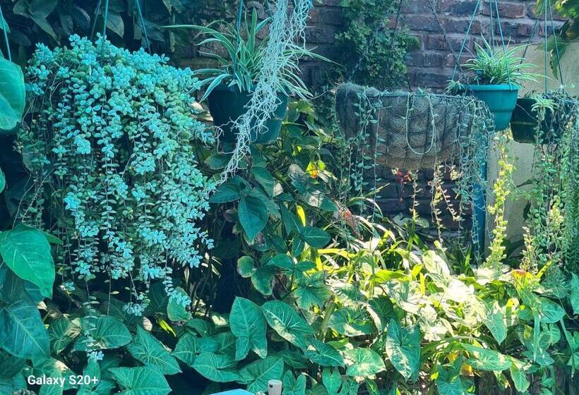 Pension Sandy Toes Airbnb