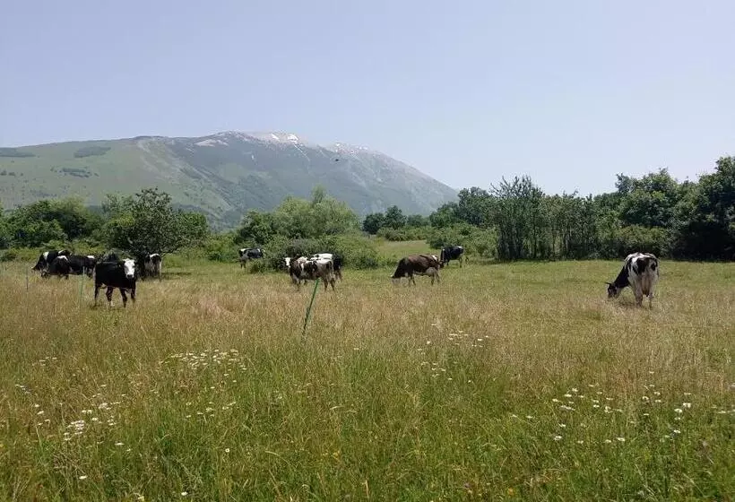 Aamiaismajoitus (B&B) Famiglia Nel Vento