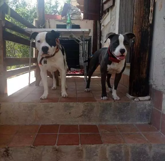 Aamiaismajoitus (B&B) Famiglia Nel Vento