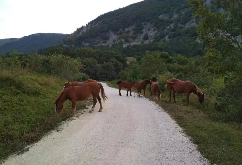 Aamiaismajoitus (B&B) Famiglia Nel Vento