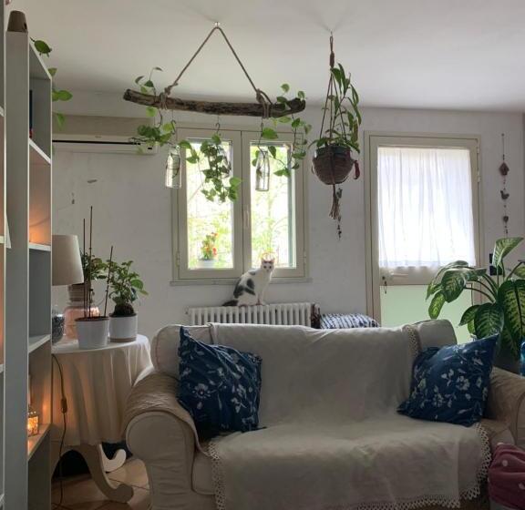 تختخواب و صبحانه Ginko