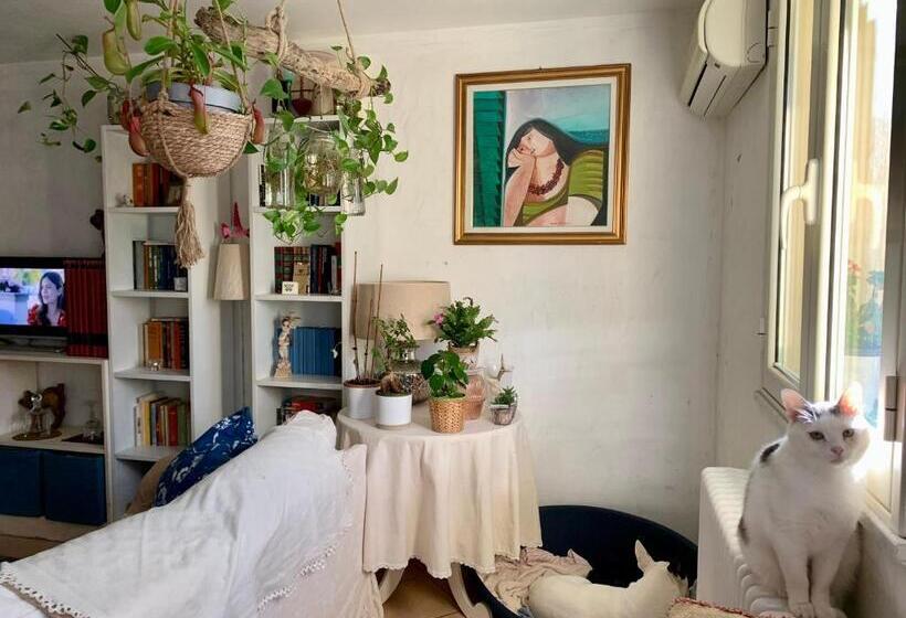 تختخواب و صبحانه Ginko