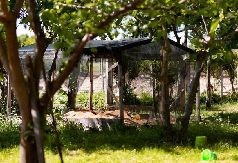 호텔 Deydaa Ekoloji Kampı