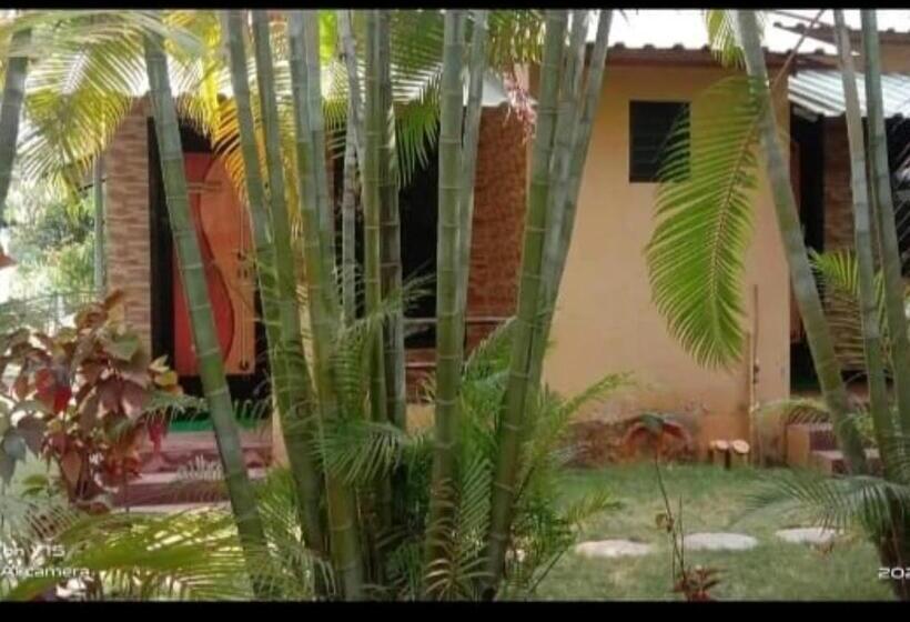 ホテル Gayatri Farm Resort Kolan