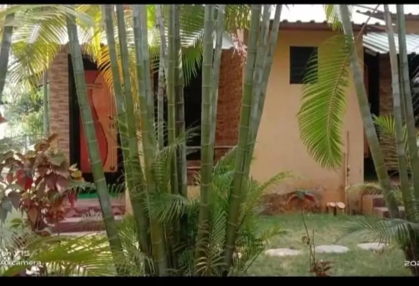 ホテル Gayatri Farm Resort Kolan