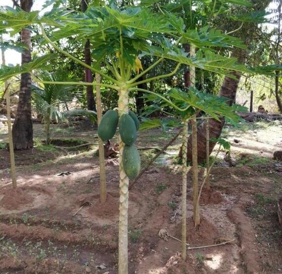 ホテル Sneha Farm House,kudal