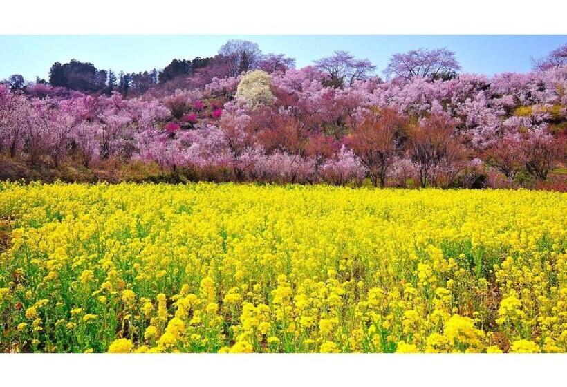 Hotelli Tenryukaku   Vacation Stay 16412v