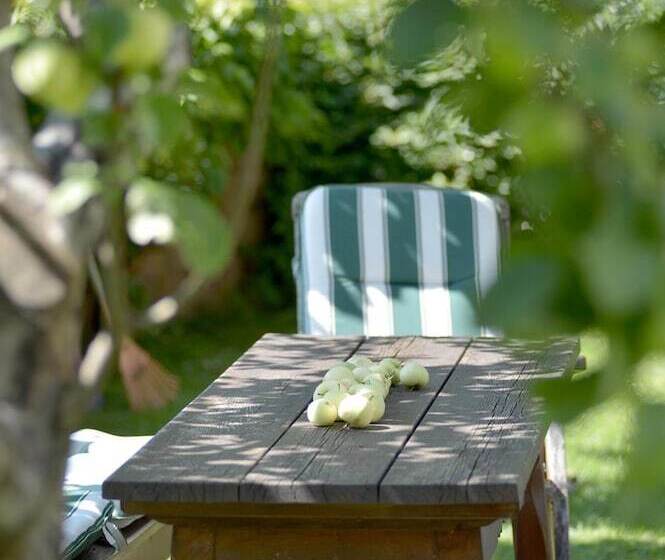 酒店 Apart Austria