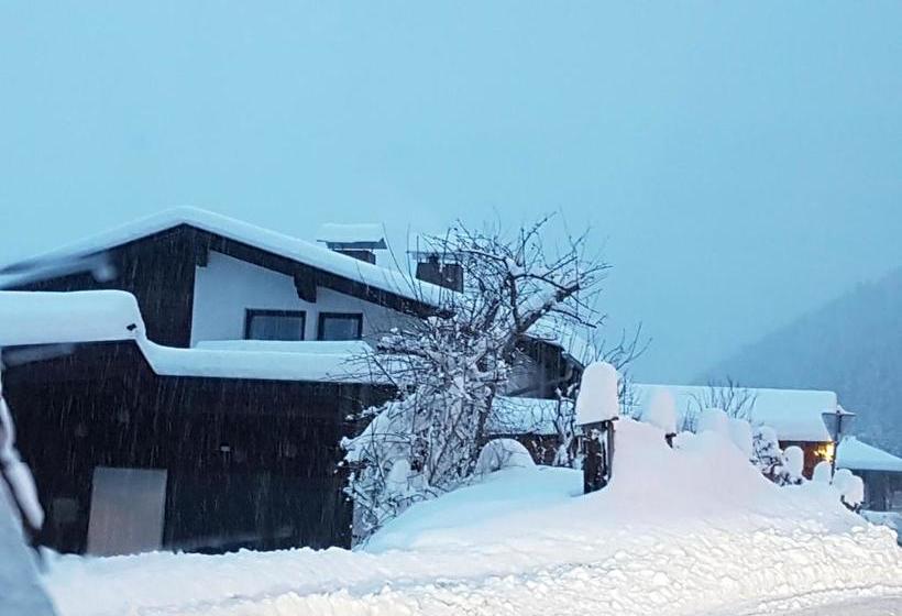 호텔 Appartements Zinner-pale