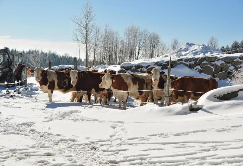 فندق Mittereibenberger