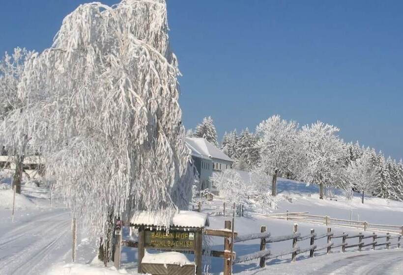 فندق Mittereibenberger