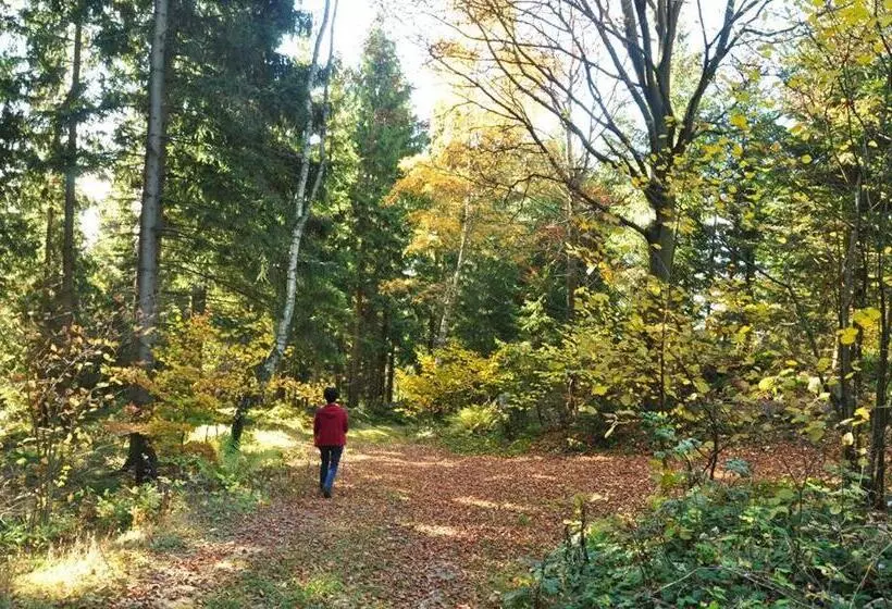 Hotelli Mittereibenberger