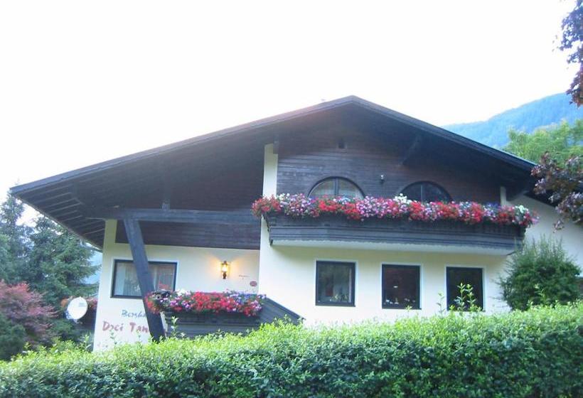 فندق Berghaus Drei Tannen