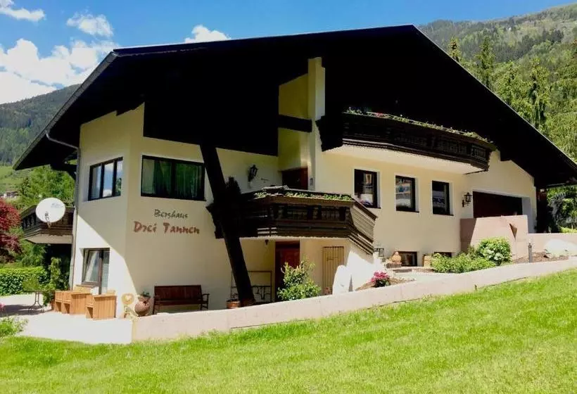 هتل Berghaus Drei Tannen