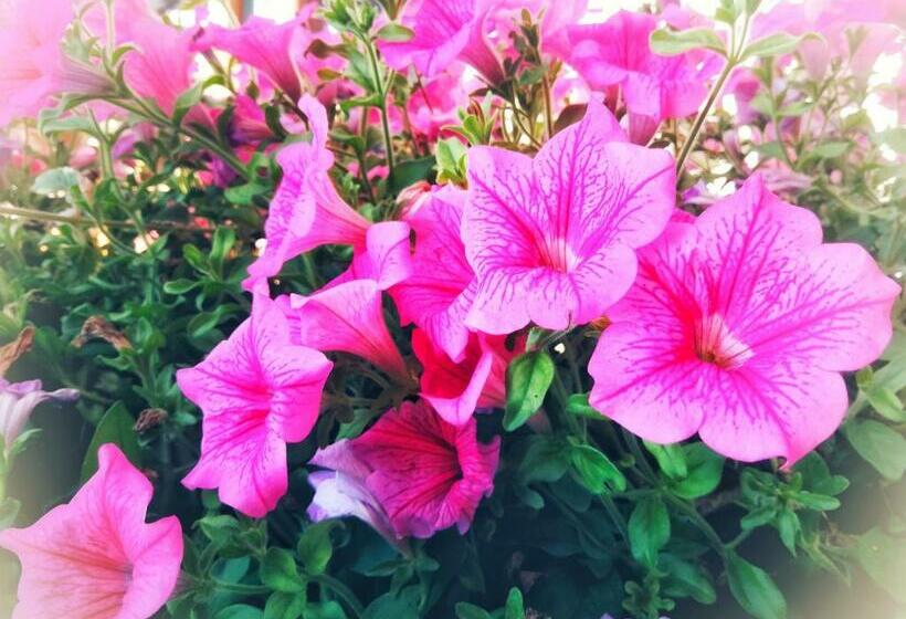 ホテル Gwercherwirt