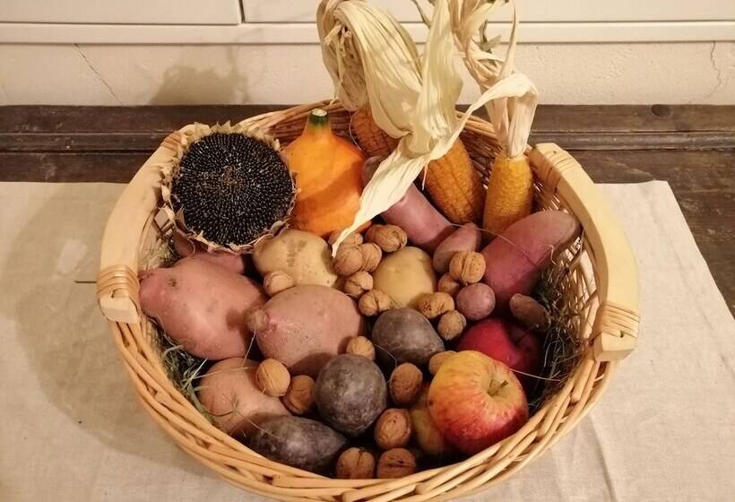 酒店 Landhaus Zangerl