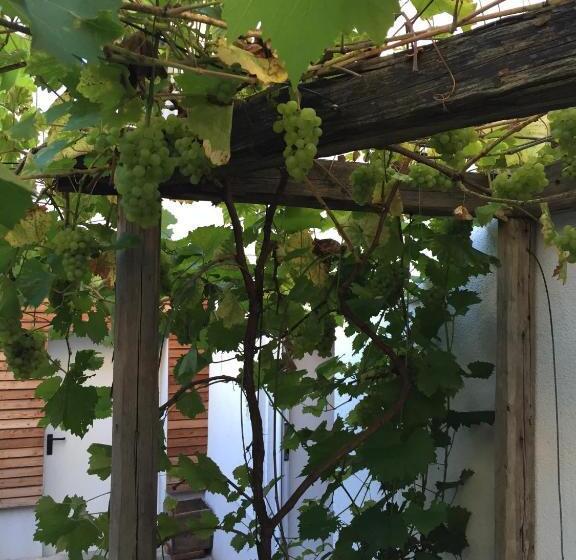 Otel Pension Sunnseitn Gasthof Café Weinkeller