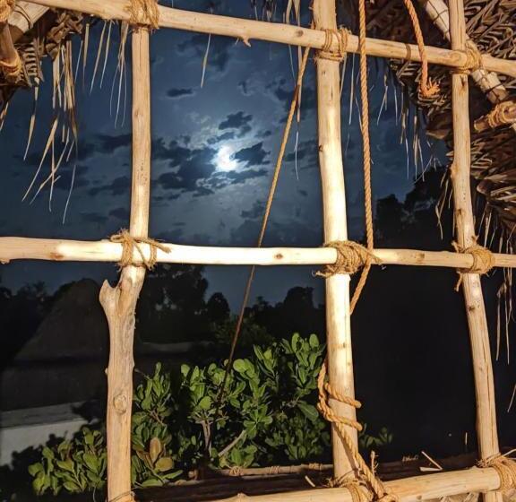 هاستل Boomerang Community