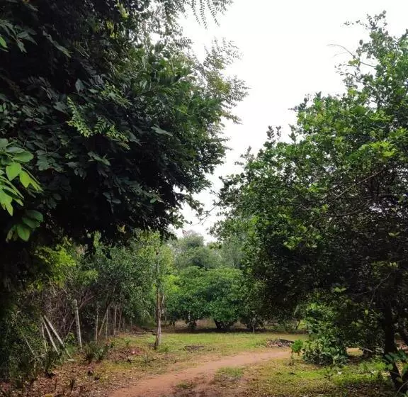 Retkeilymaja Boomerang Community