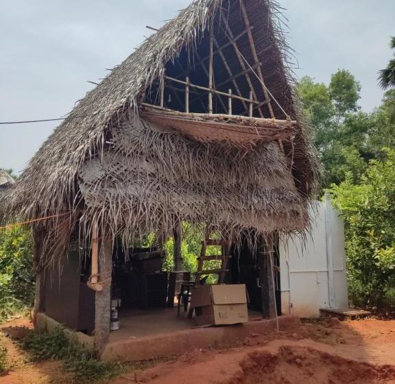 هاستل Boomerang Community