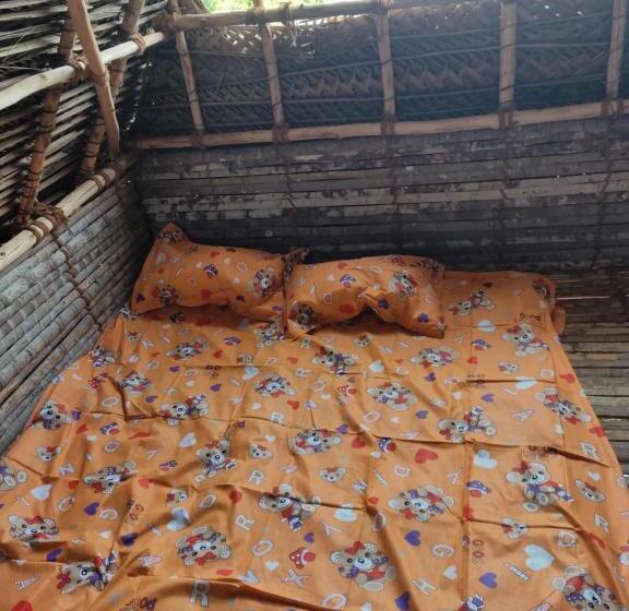 هاستل Boomerang Community