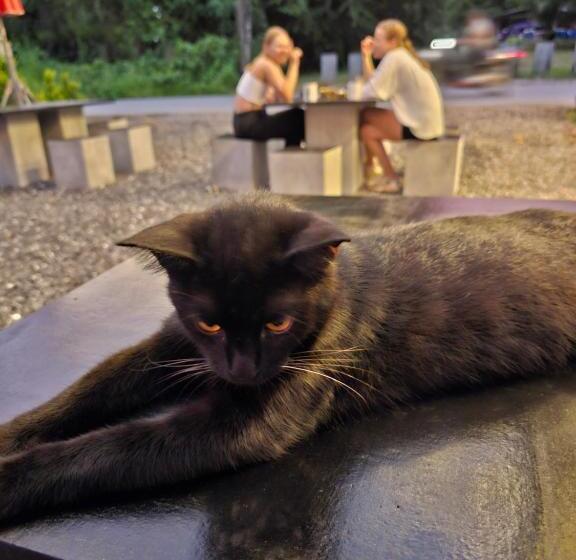 הוסטל Nahm Khao Sok