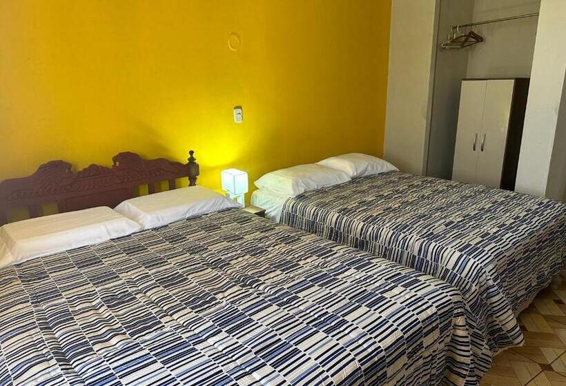 هاستل San Gregory