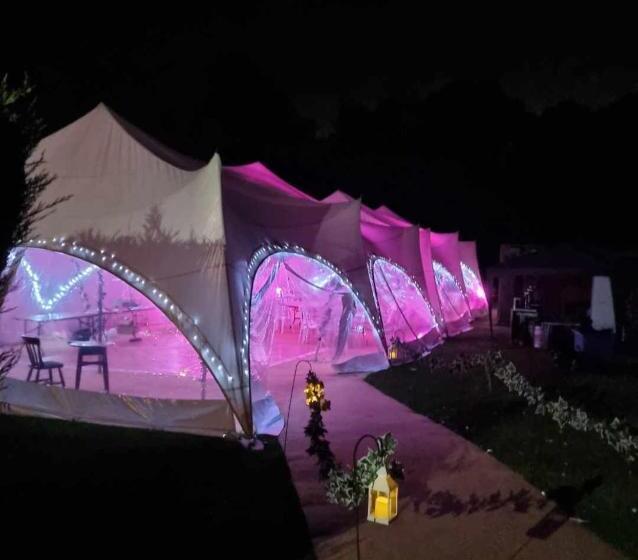 הוסטל The White Lion Inn