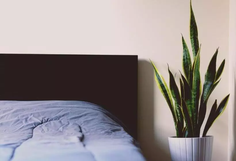 تختخواب و صبحانه Arig Airbnb
