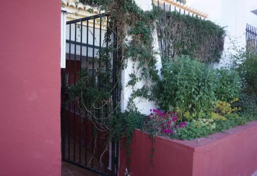 Cute And Relaxing Bed And Breakfast En Albayzín