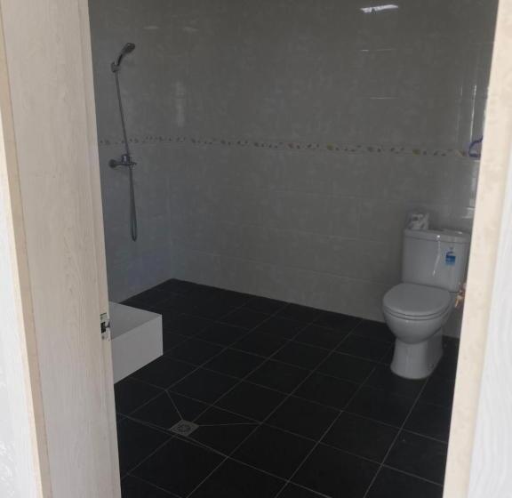 Отель Dupincia Lodge