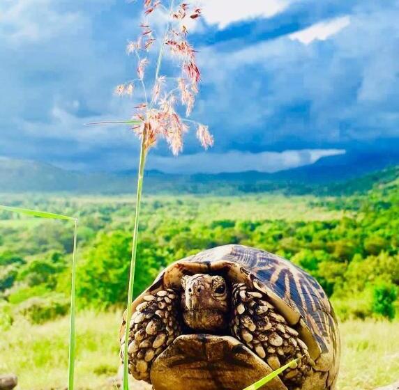 Hotelli Iluk Villa Buduruwagala