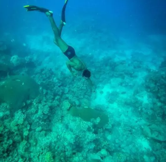 ホテル Korovou Eco Tour Resort