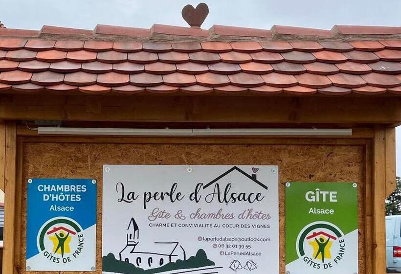 펜션 Chambre Vue Sur Le Mont St Odile Et Accessible Pmr