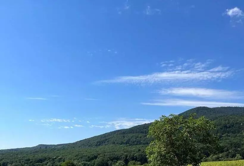 ペンション Chambre Vue Sur Le Mont St Odile Et Accessible Pmr