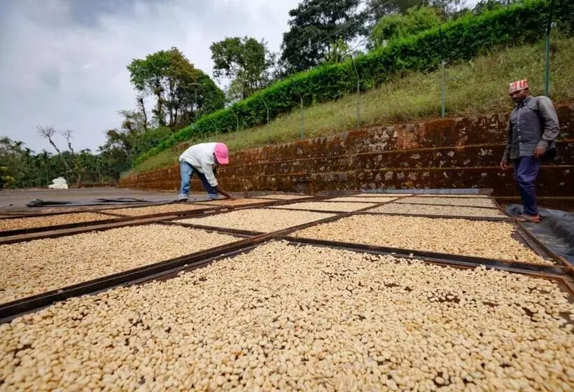 ユースホステル Espresso Escape By Jadecaps 3bhk Chikamagalur
